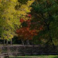 Morris Park district ico