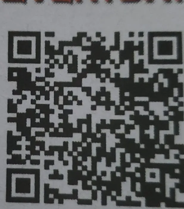 Gymnastics X Calibur Picture 1