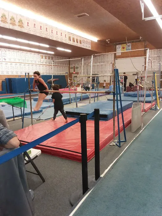 Gymnastics X Calibur Picture 2