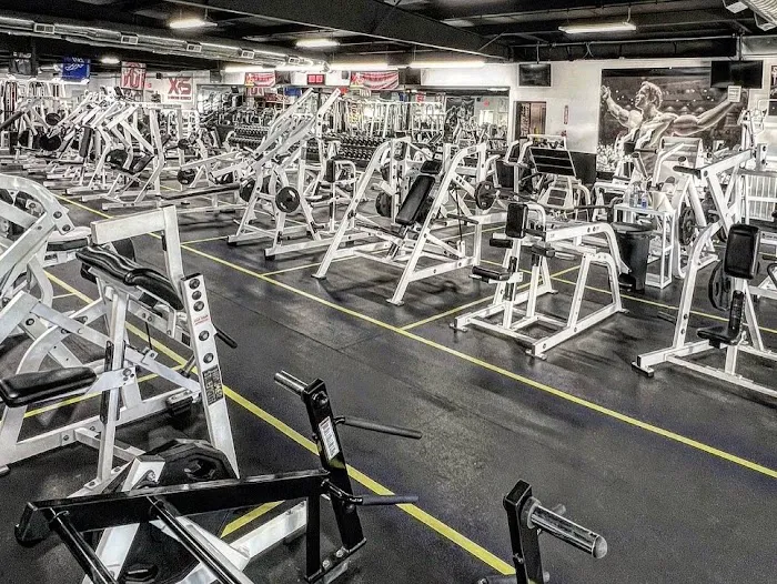 X-ercise Science Gym Picture 1