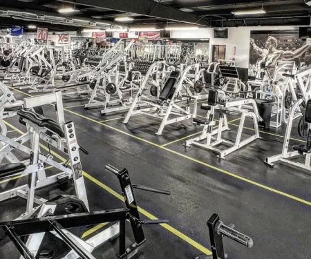 X-ercise Science Gym