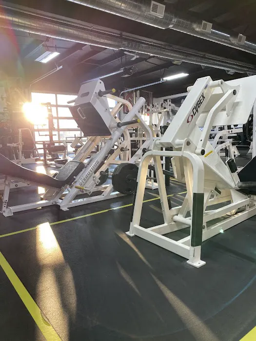 X-ercise Science Gym Picture 10