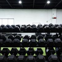 True Sports Physical Therapy Bethesda ico