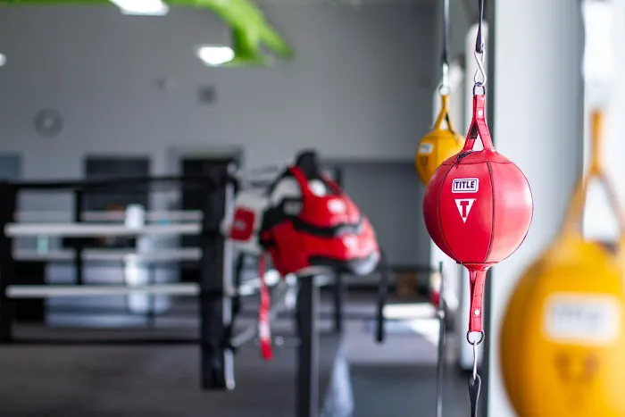 HITS Boxing Club Picture 4