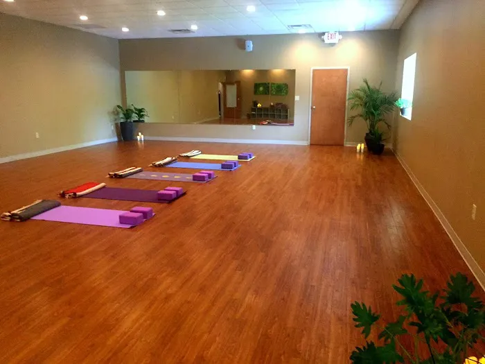 Lexington Healing Arts Yoga Studio Picture 5