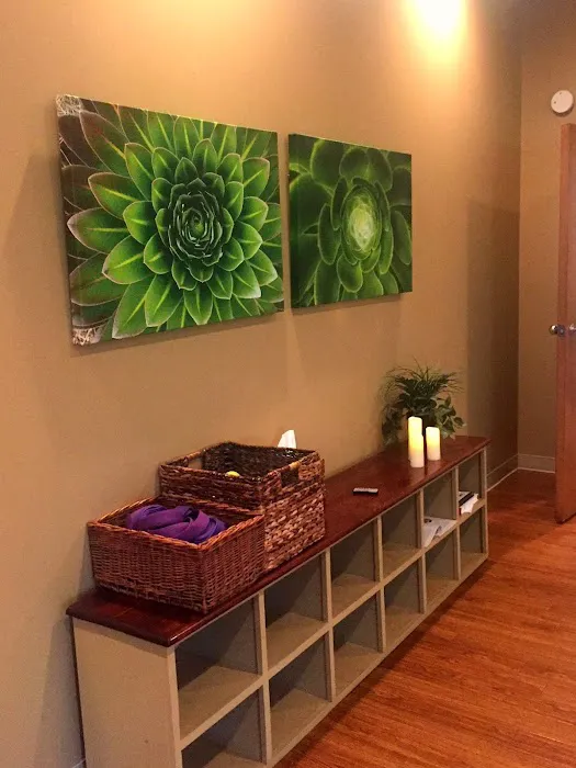 Lexington Healing Arts Yoga Studio Picture 6