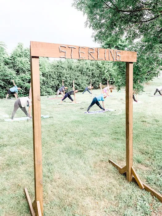 Sterling Hot Yoga Lexington Picture 2
