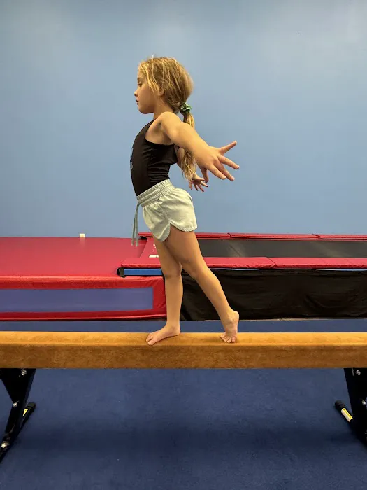 Kentucky Epic! Gymnastics Picture 4