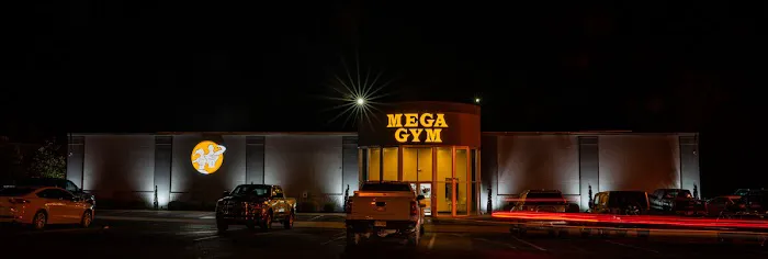 Mega Gym Inc Picture 1