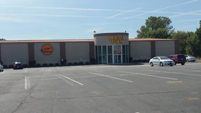 Mega Gym Inc Picture 2