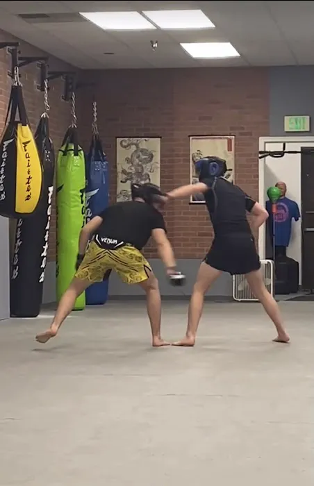 Kaminari martial arts Picture 1