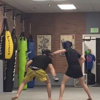 Kaminari martial arts ico