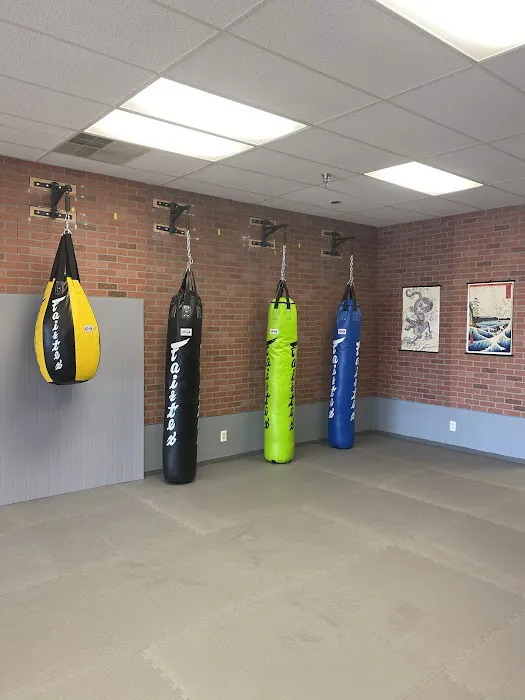 Kaminari martial arts Picture 5