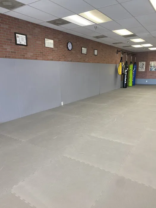 Kaminari martial arts Picture 6