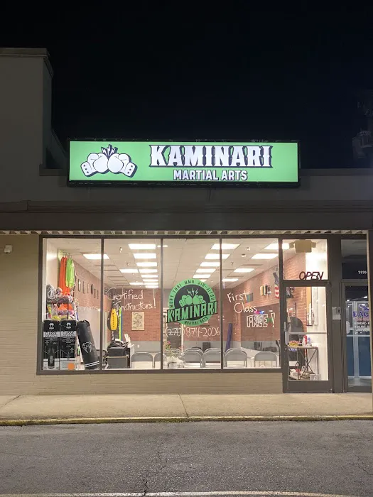 Kaminari martial arts Picture 7