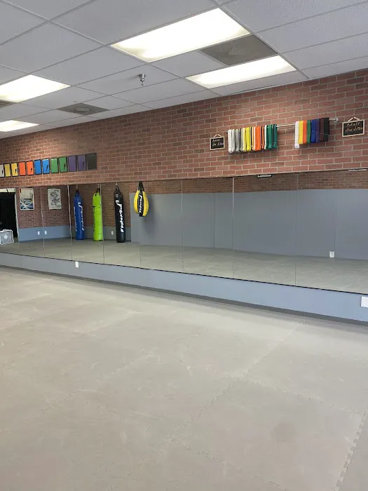 Kaminari martial arts Picture 3