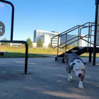 OHRH Walking Trail Outdoor Gym #2 ico