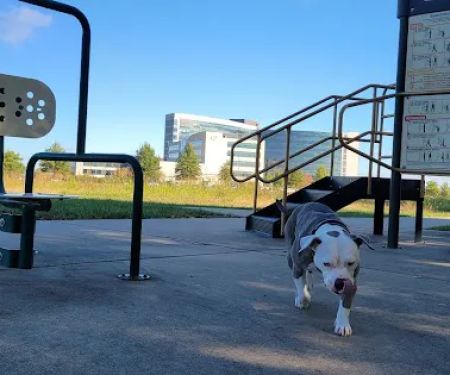 OHRH Walking Trail Outdoor Gym #2