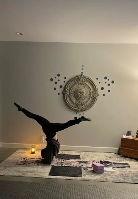 The House of Movement Picture 1