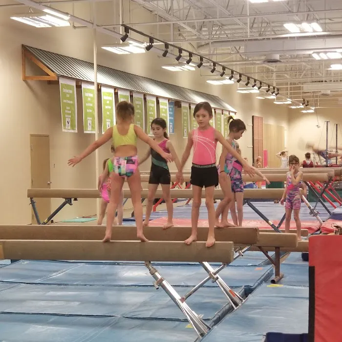Grand Traverse Bay Gymnastics Picture 6