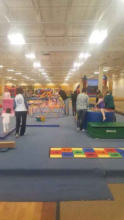 Grand Traverse Bay Gymnastics Picture 7