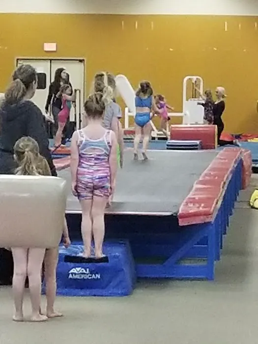 Grand Traverse Bay Gymnastics Picture 8