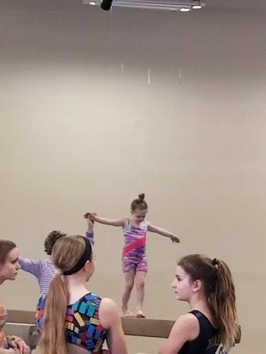 Grand Traverse Bay Gymnastics Picture 10