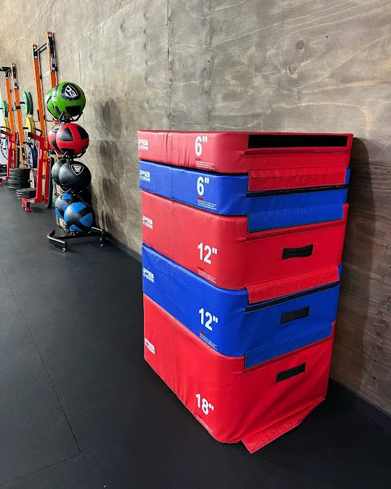 MI Moves Fitness Picture 9