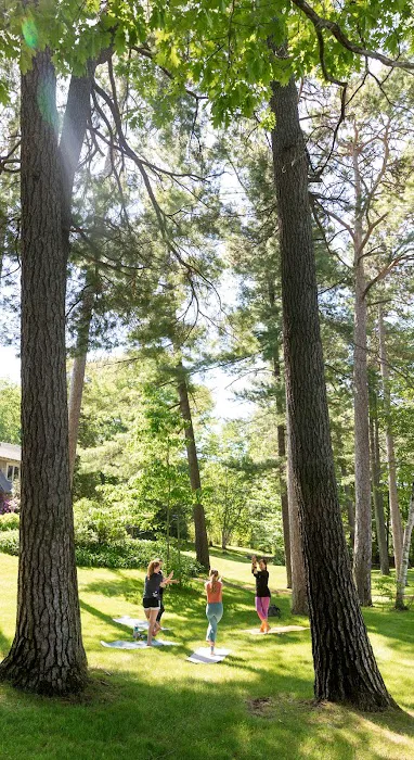 Just Bee Yoga + Well-being Picture 5