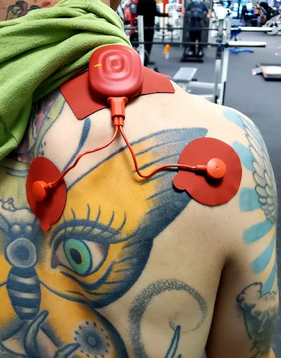 Elite Fitness North Picture 8