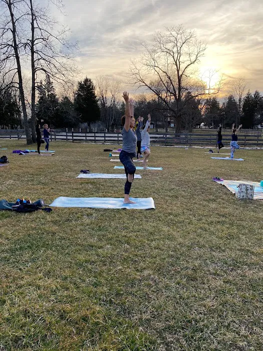 Uplift Yoga Picture 10