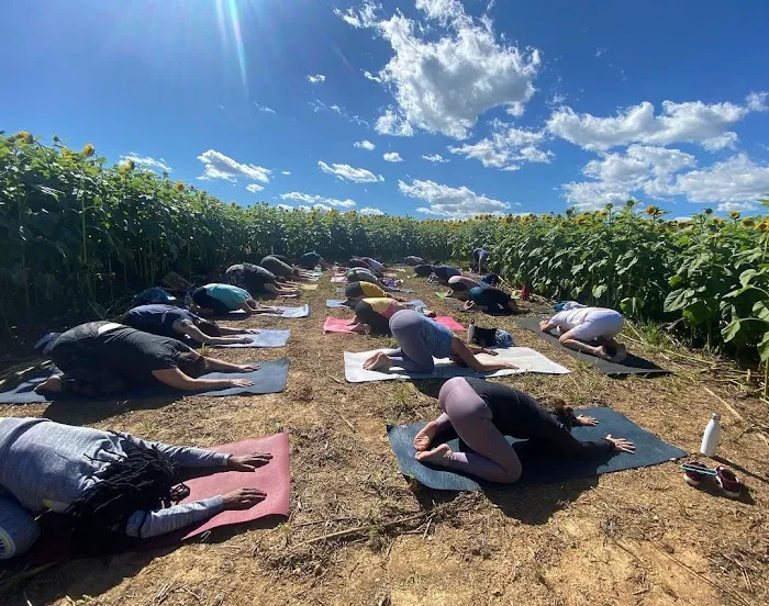 Uplift Yoga Picture 9