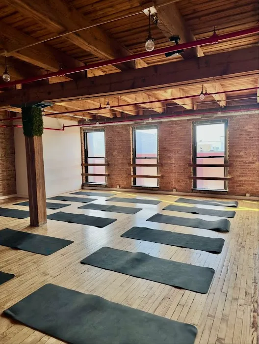 Puppy Yoga USA Picture 5