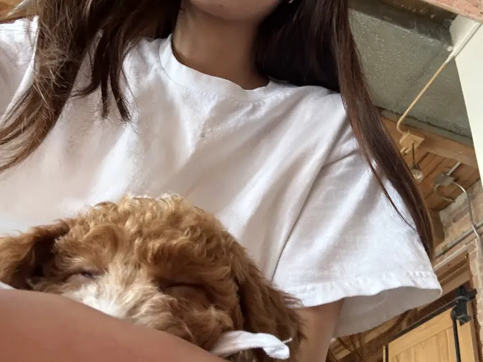 Puppy Yoga USA Picture 3