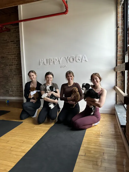 Puppy Yoga USA Picture 7