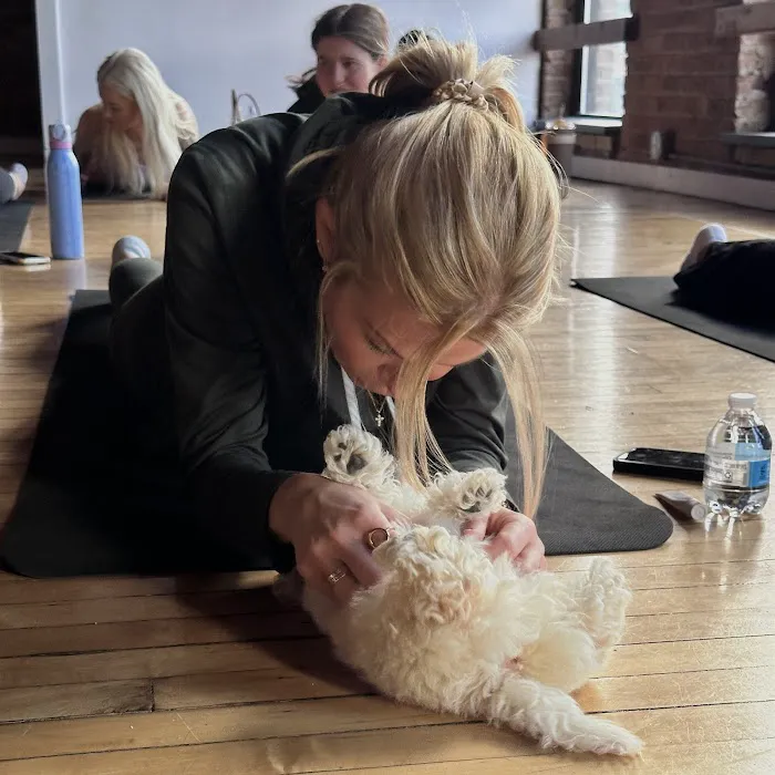 Puppy Yoga USA Picture 10