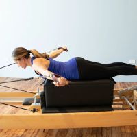 Maple Tree Pilates ico