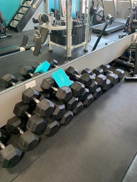 Elite Physique Fitness Studio Picture 4