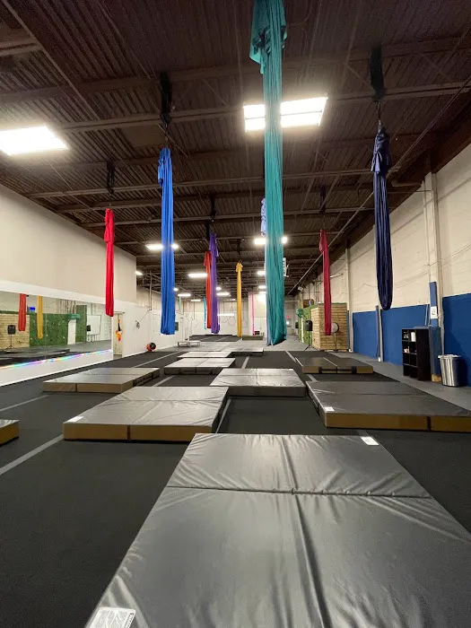 Chicago Aerial Arts Picture 1