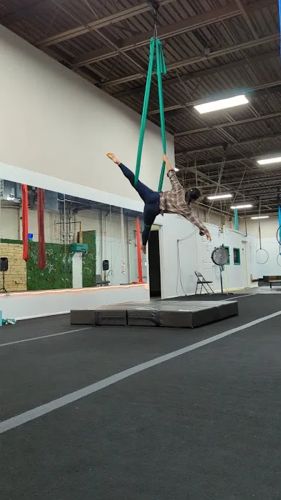 Chicago Aerial Arts Picture 3