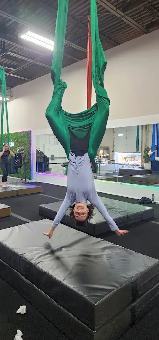 Chicago Aerial Arts Picture 7