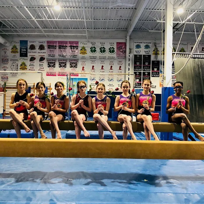 IK Gymnastics (Gym B) Picture 6