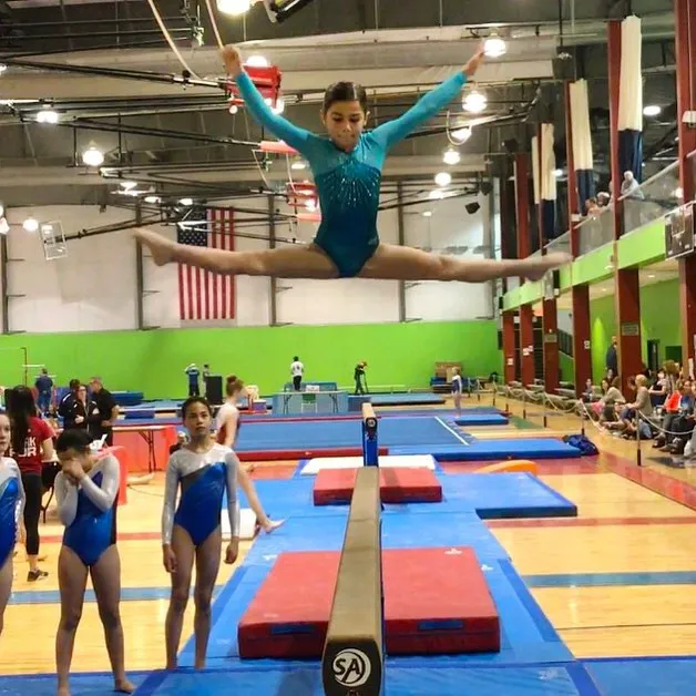 IK Gymnastics (Gym B) Picture 2