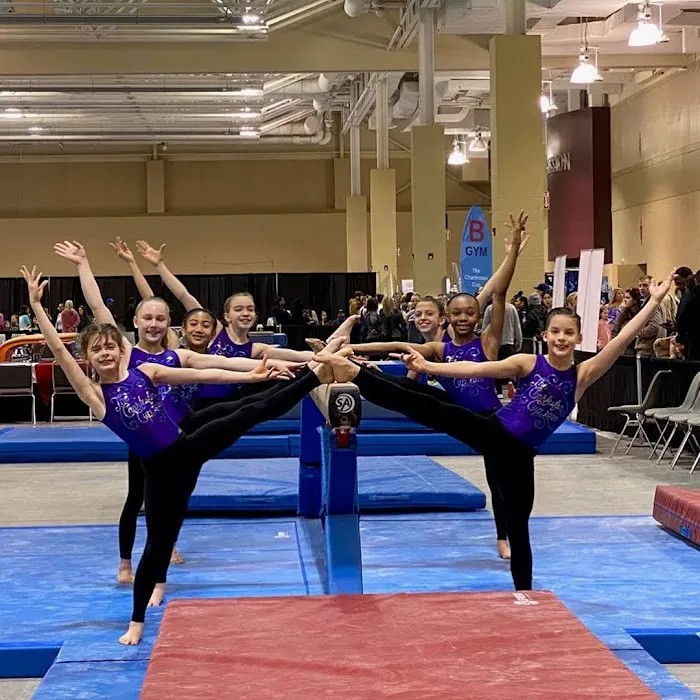 IK Gymnastics (Gym B) Picture 5