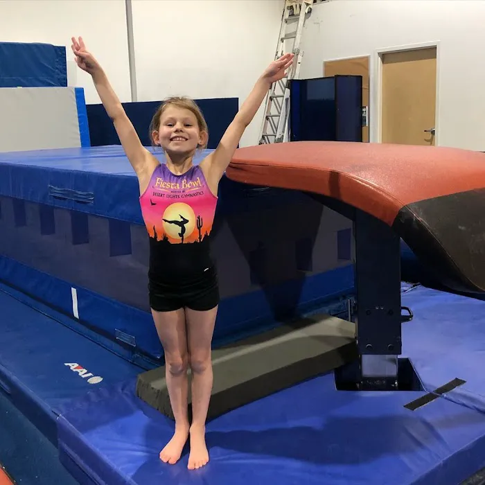 IK Gymnastics (Gym B) Picture 4