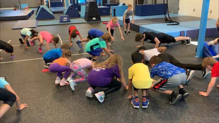 Ultimate Ninjas Chicago Picture 10