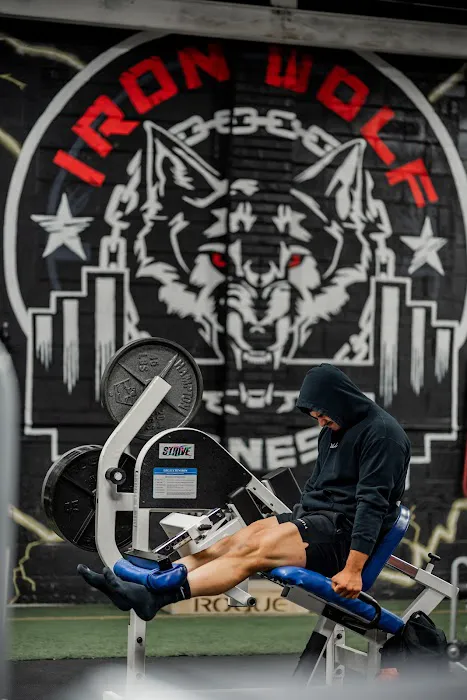 Iron Wolf Fitness Picture 3