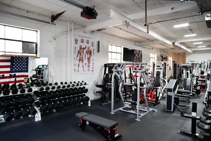 Iron Wolf Fitness Picture 8