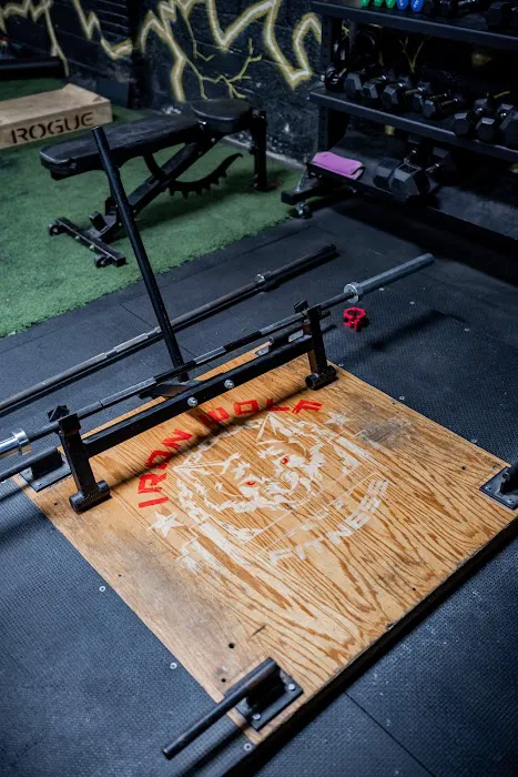 Iron Wolf Fitness Picture 5