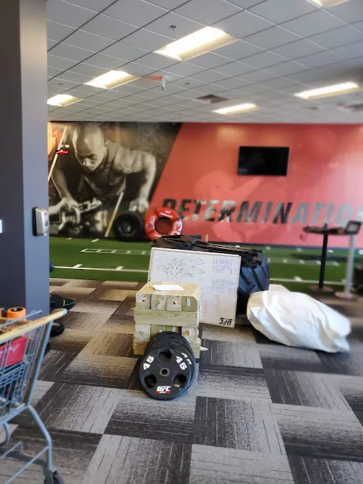 UFC GYM Yorktown Picture 4